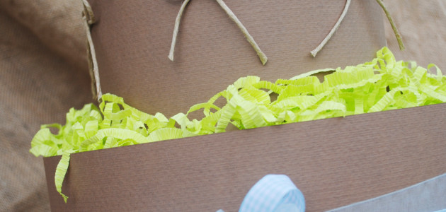 Il Baby Shower Party di Giuliana
