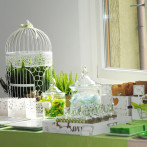 Baby Shower Party di Giuliana