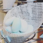 Organizzazione battesimo Giorgio Bergamo