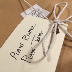 Party box festa spedizione in tutta Italia