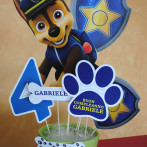 PAW PATROL