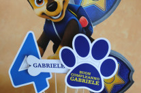 PAW PATROL