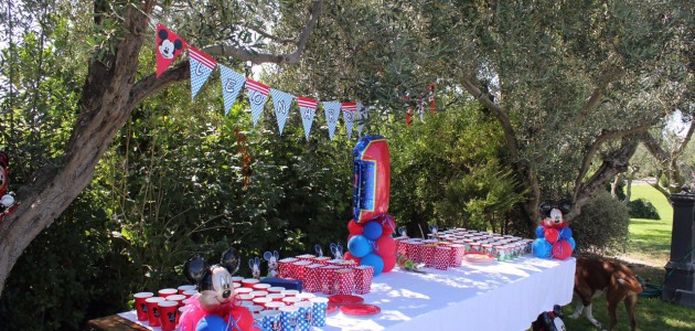 Party box Topolino allestimento cliente