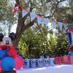 Party box Topolino allestimento cliente