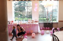 baby shower party