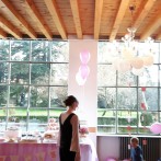 baby shower party bergamo