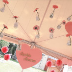 allestimento battesimo sophie aurora