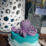 Party a tema mare